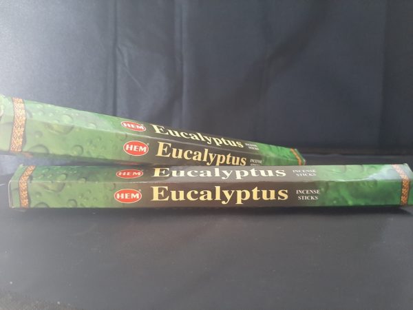 HEM wierook eucalyptus 1 doosje 20 stuks